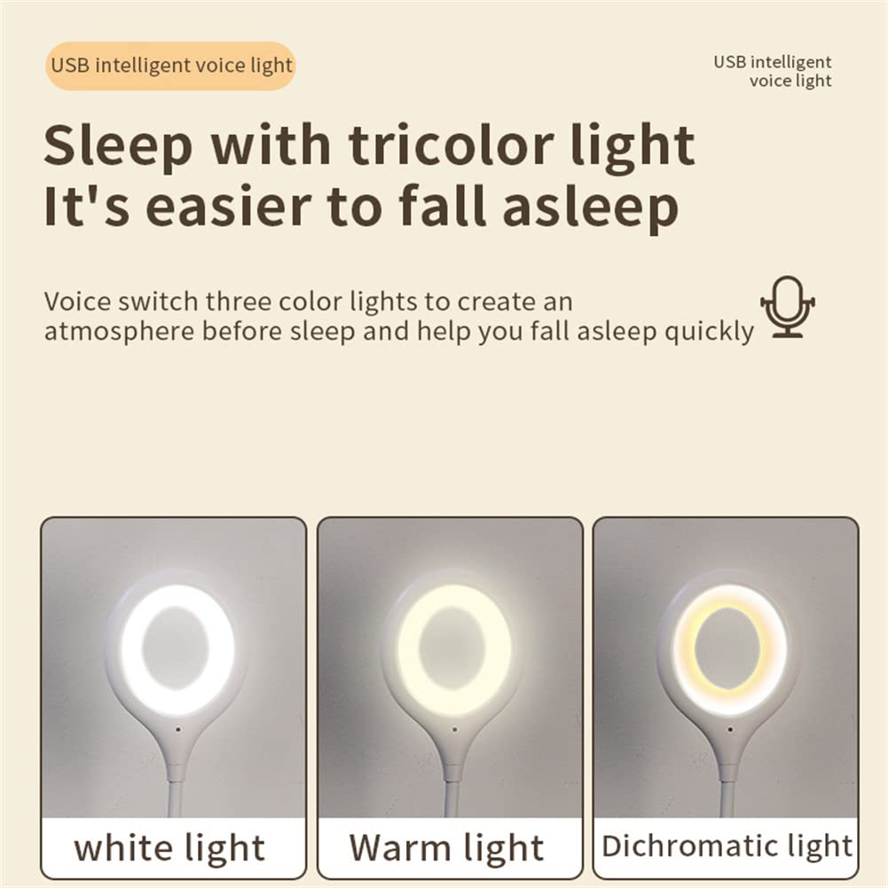 Usb Smart Voice Light