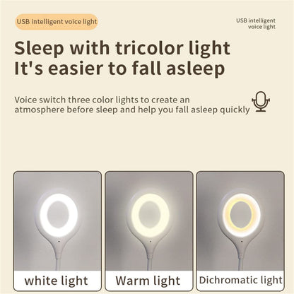 Usb Smart Voice Light