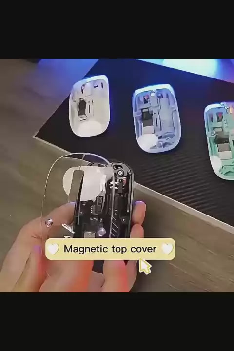 Magnetic mouse
