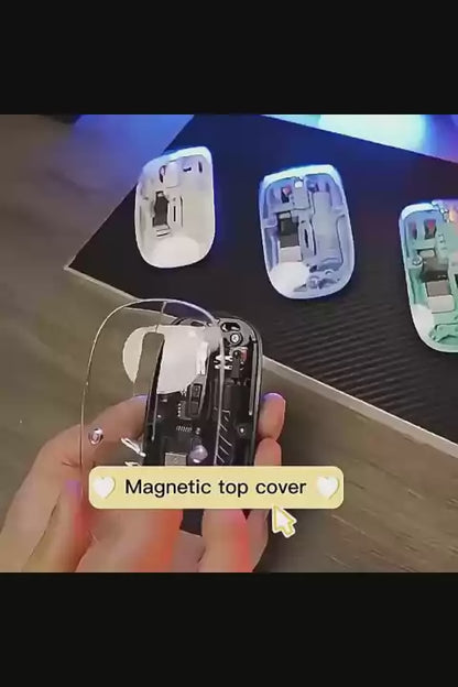 Magnetic mouse