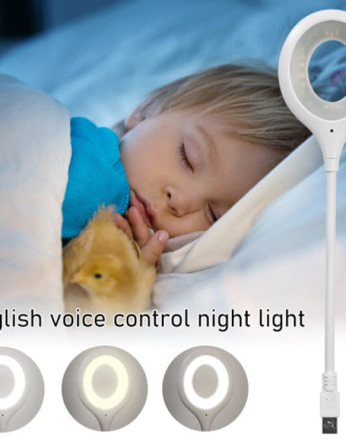 Usb Smart Voice Light